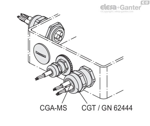 CGA_MS_SEC_EG