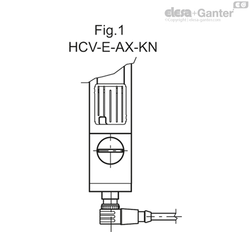 HCV_E_AX_FIG1_SR